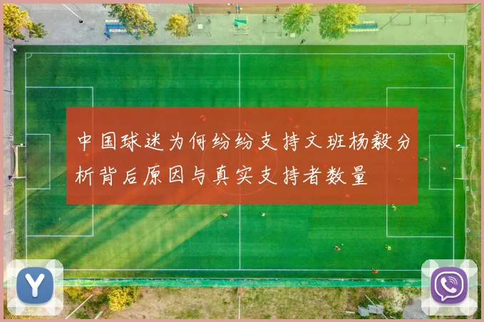 中国球迷为何纷纷支持文班杨毅分析背后原因与真实支持者数量